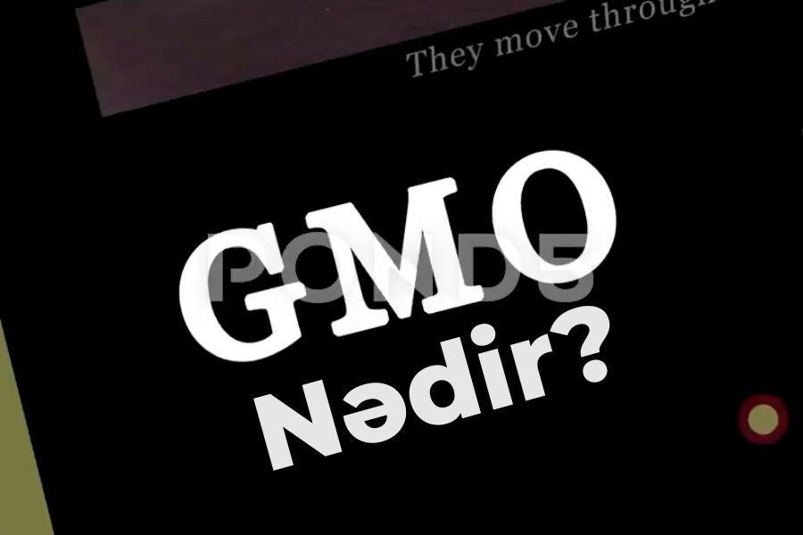 GMO nədir? Zərərlidir yoxsa Sağlam? Harada İcazəlidir? GMO Haqqında fikirlərim #1