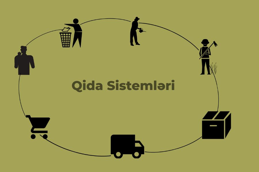 Qida Sistemləri Nədir?