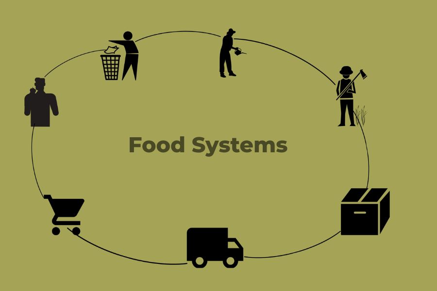 What is Food Systems?