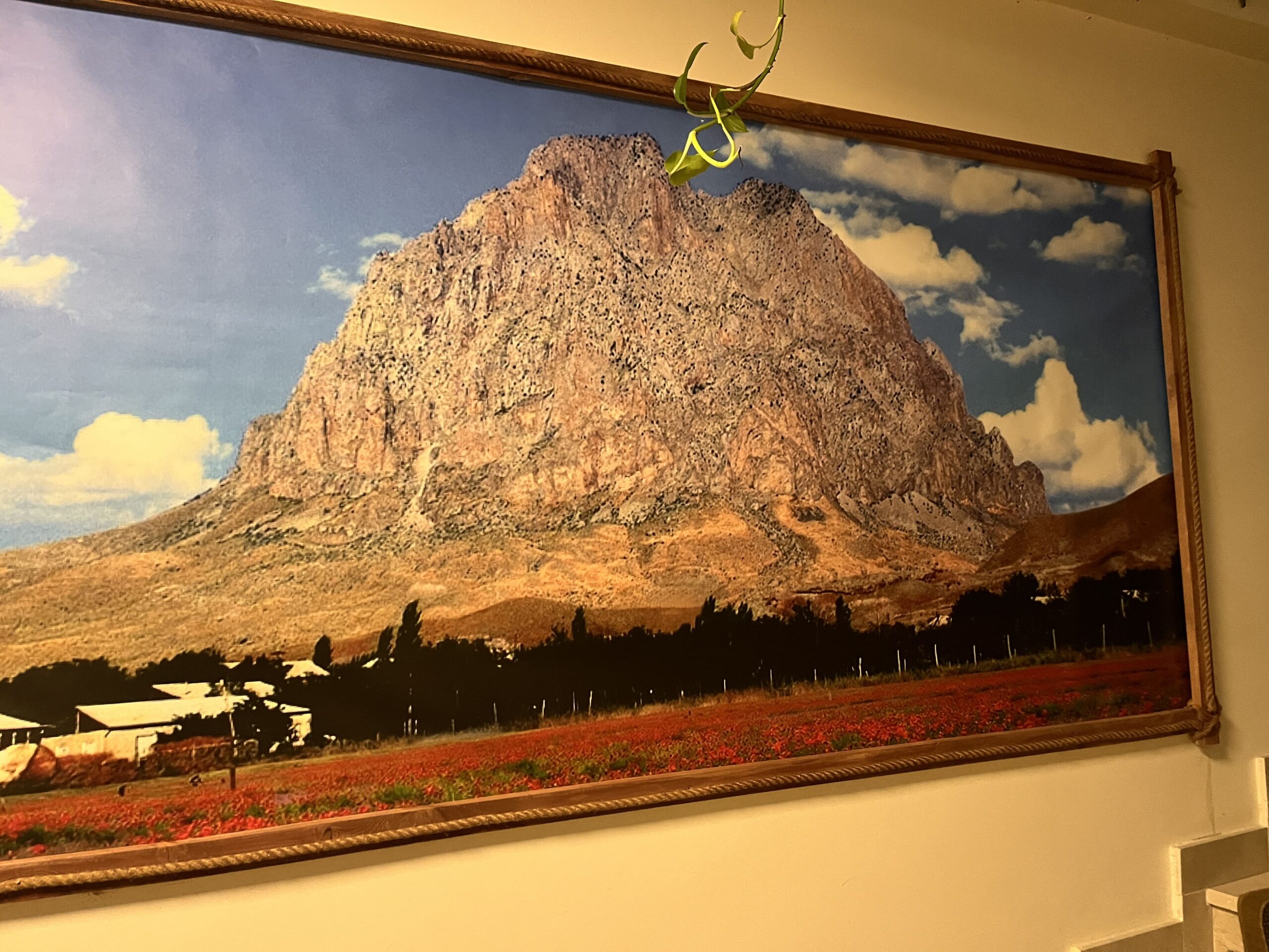 Old agricultural machinery