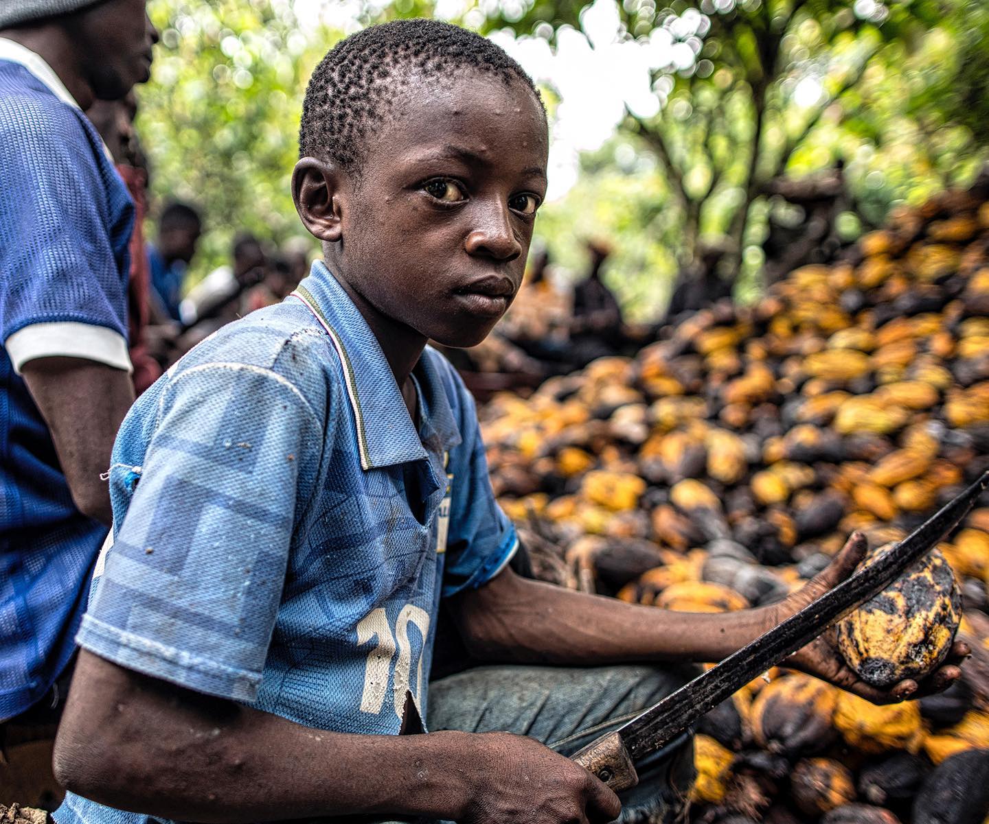 Acı Şokalad, Reallıqlar… – Rotten