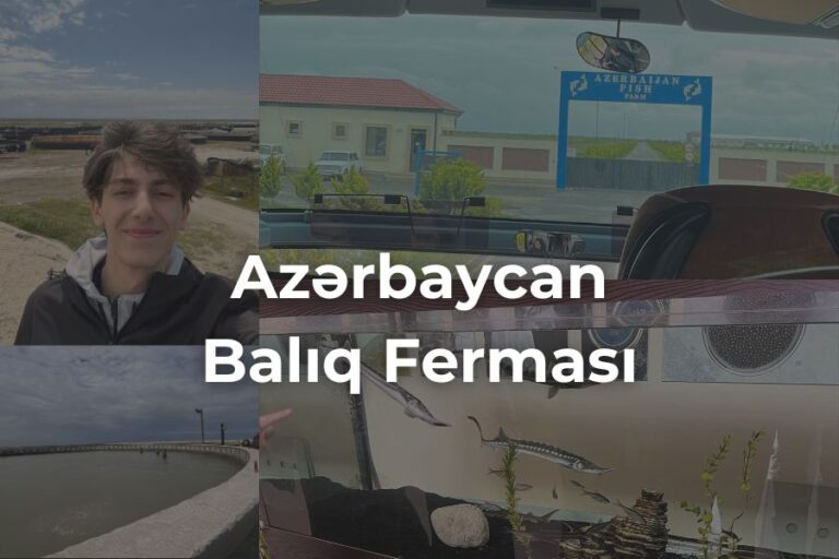 Azərbaycan Balıq Ferması – ADA ilə Gəzinti – Fotolar