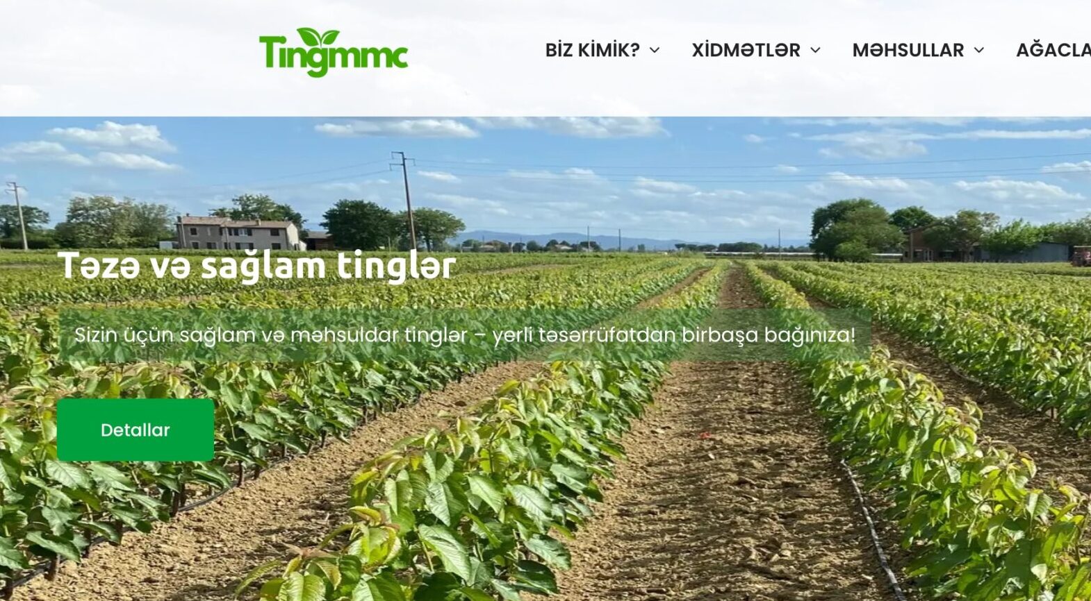 Ting MMC